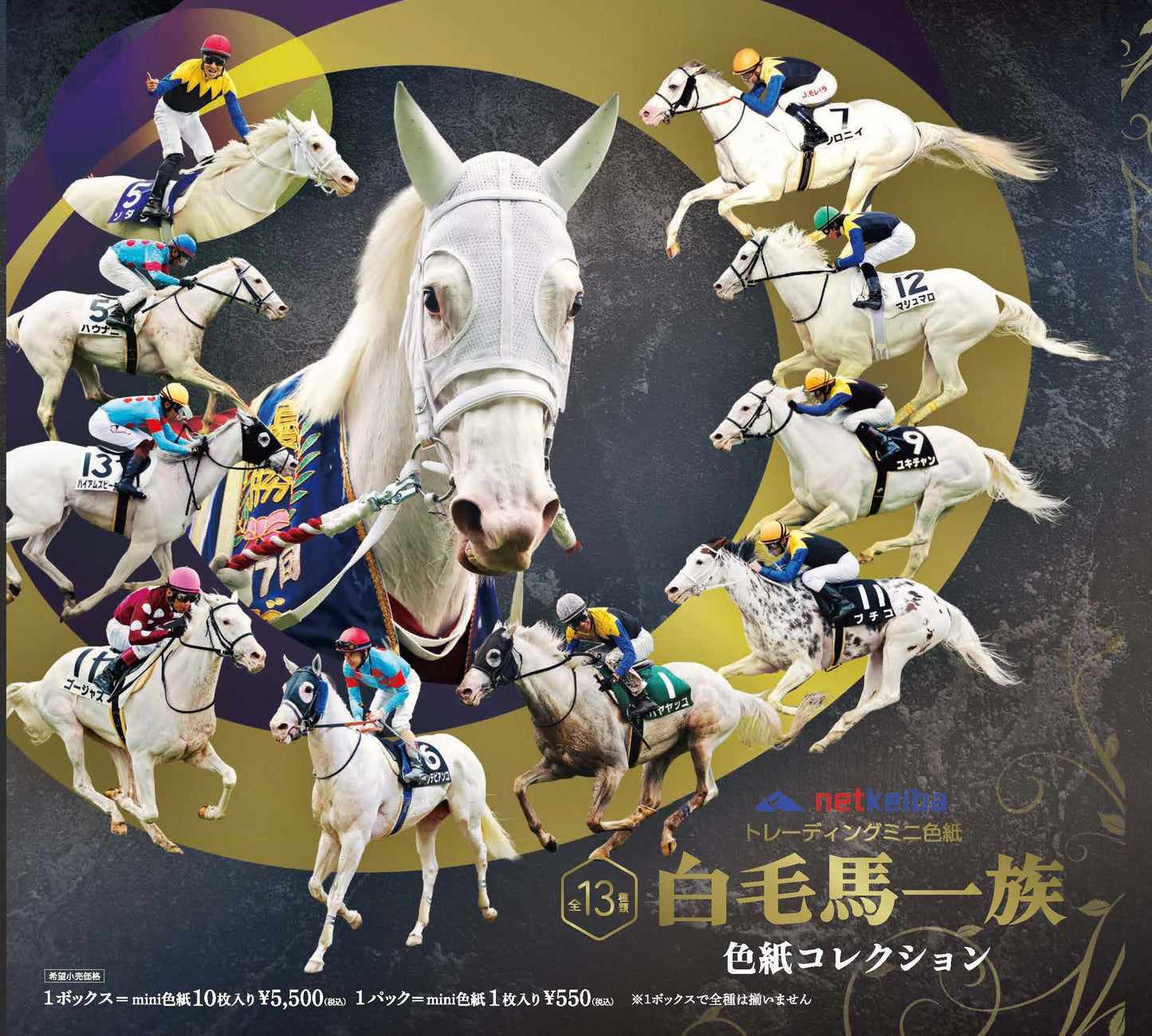 白毛馬一族色紙コレクション バラ1枚