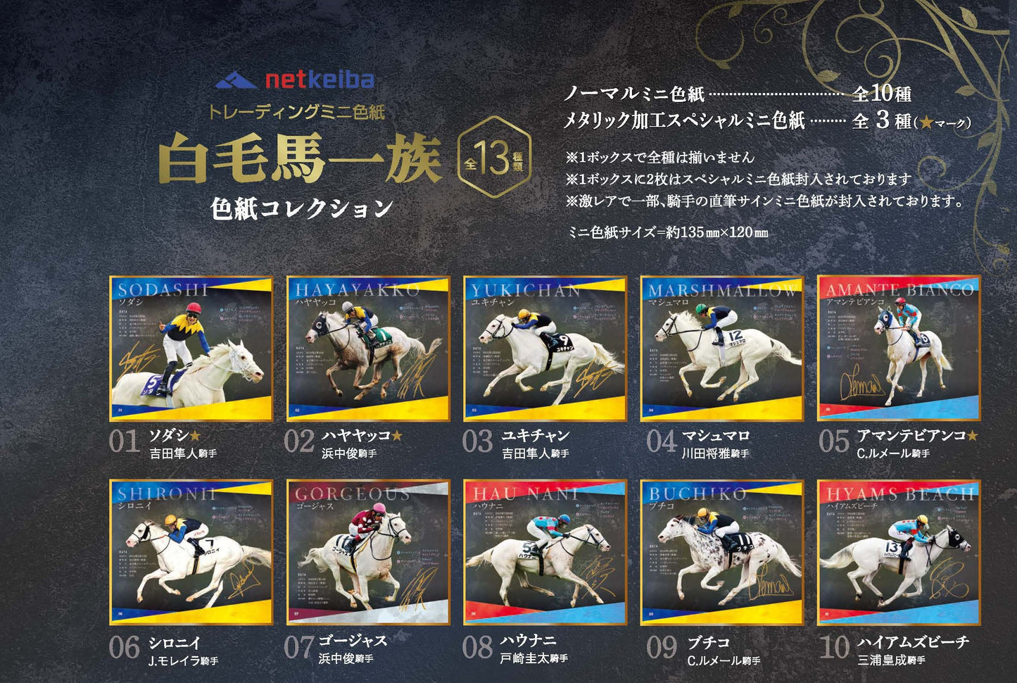 白毛馬一族色紙コレクション バラ1枚