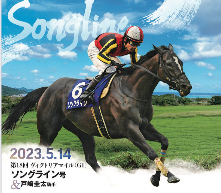 「2022年・春+α GⅠ・Ⅱ・Ⅲセレクション」トレーディングmini色紙1セット(12枚入り)