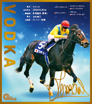 名馬全史色紙コレクション第一弾バラ1枚
