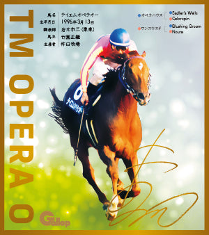 名馬全史色紙コレクション第一弾バラ1枚