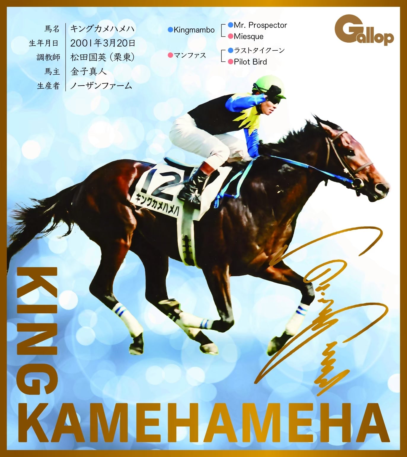 名馬全史色紙コレクション第一弾バラ1枚