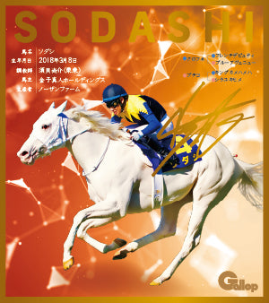 名馬全史色紙コレクション第一弾バラ1枚