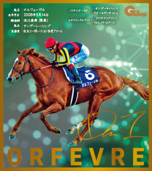 名馬全史色紙コレクション第一弾バラ1枚