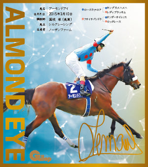 名馬全史色紙コレクション第一弾バラ1枚