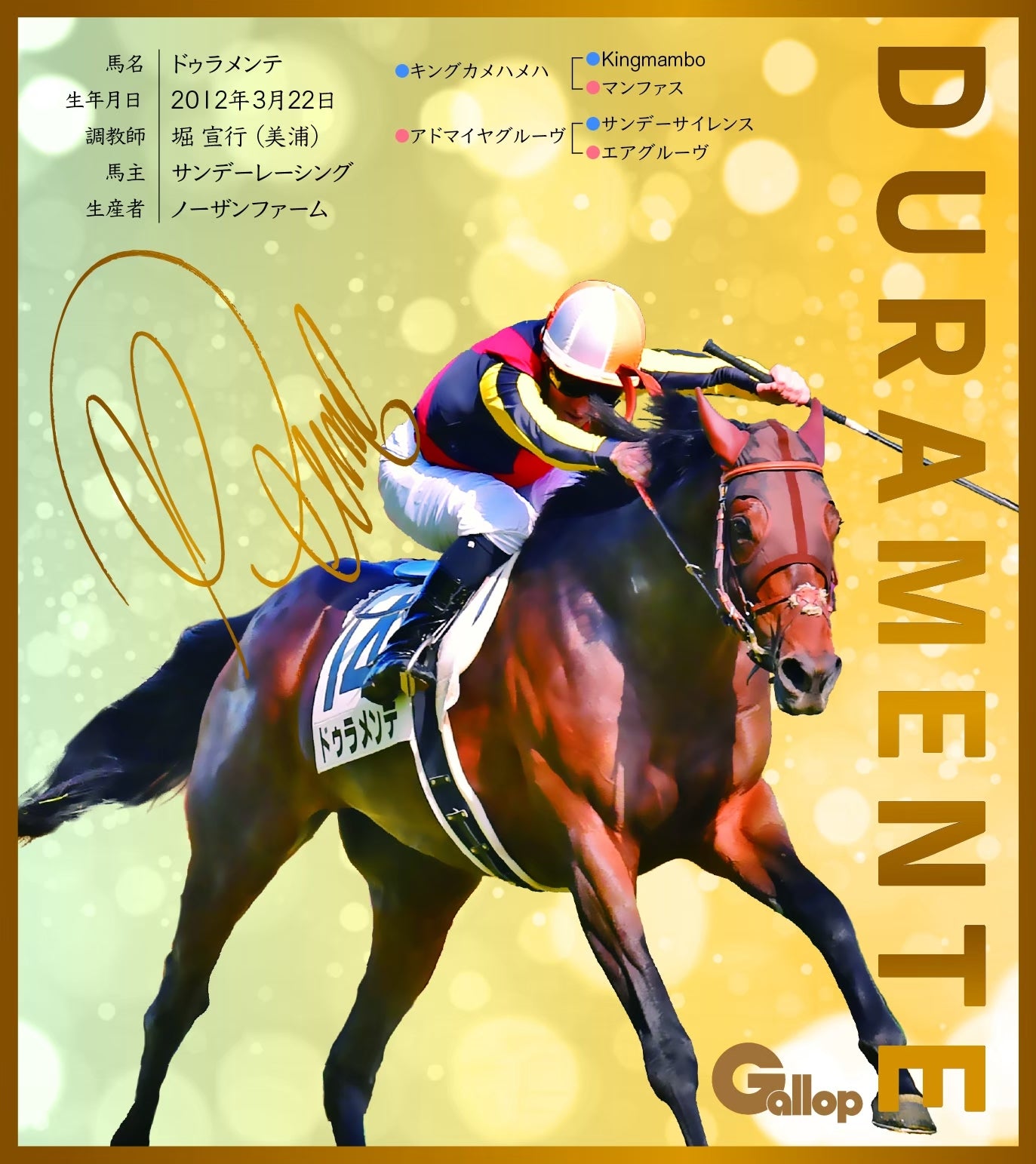 名馬全史色紙コレクション第一弾バラ1枚