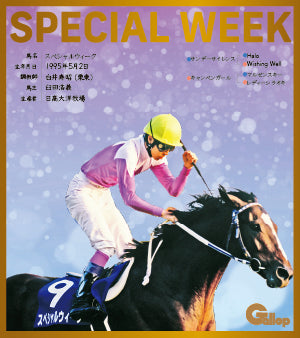 名馬全史色紙コレクション第一弾バラ1枚