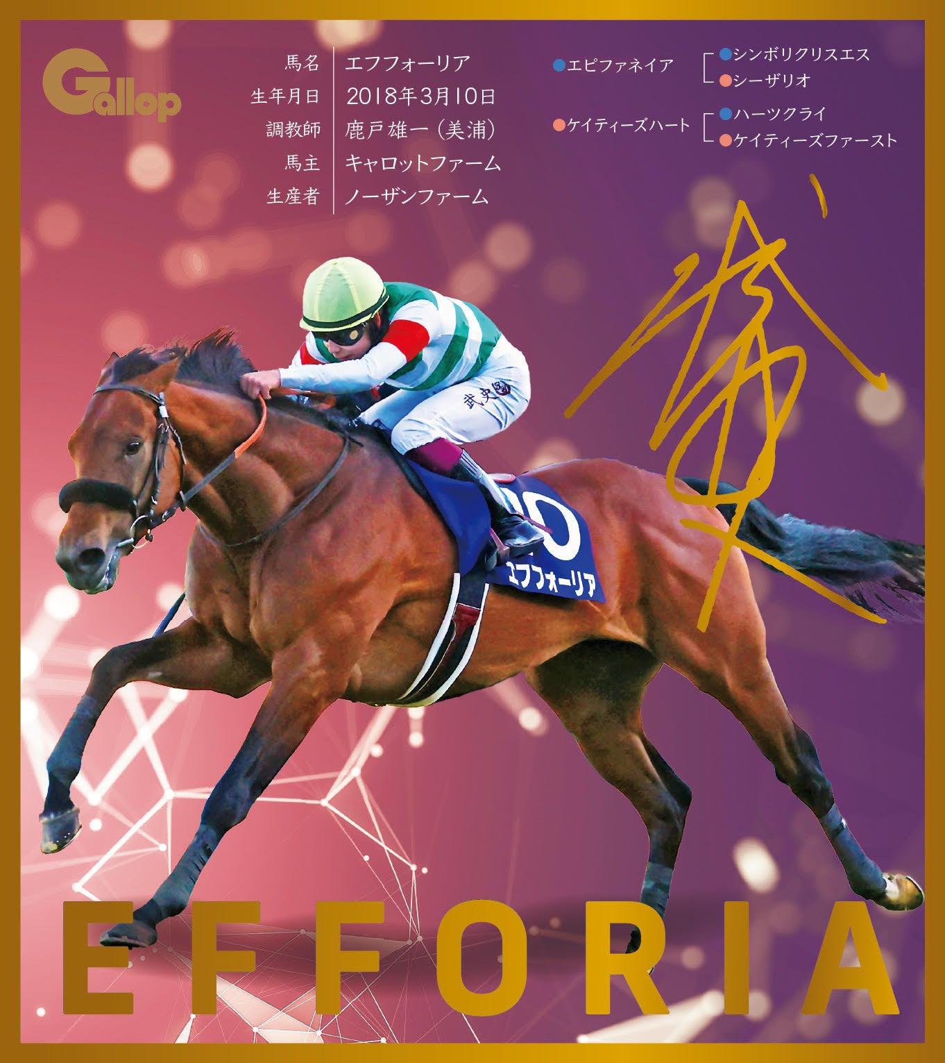 名馬全史色紙コレクション第一弾バラ1枚