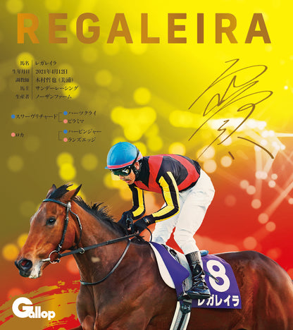 名馬全史色紙コレクション第五弾（12枚1セット）