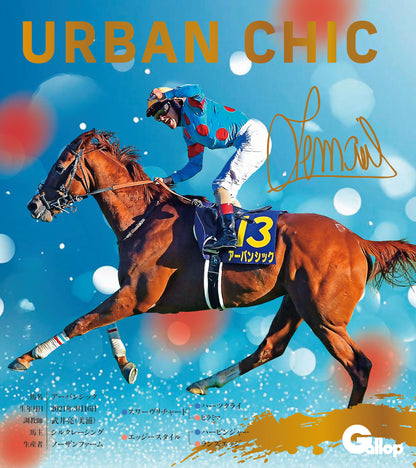 名馬全史色紙コレクション第五弾（12枚1セット）