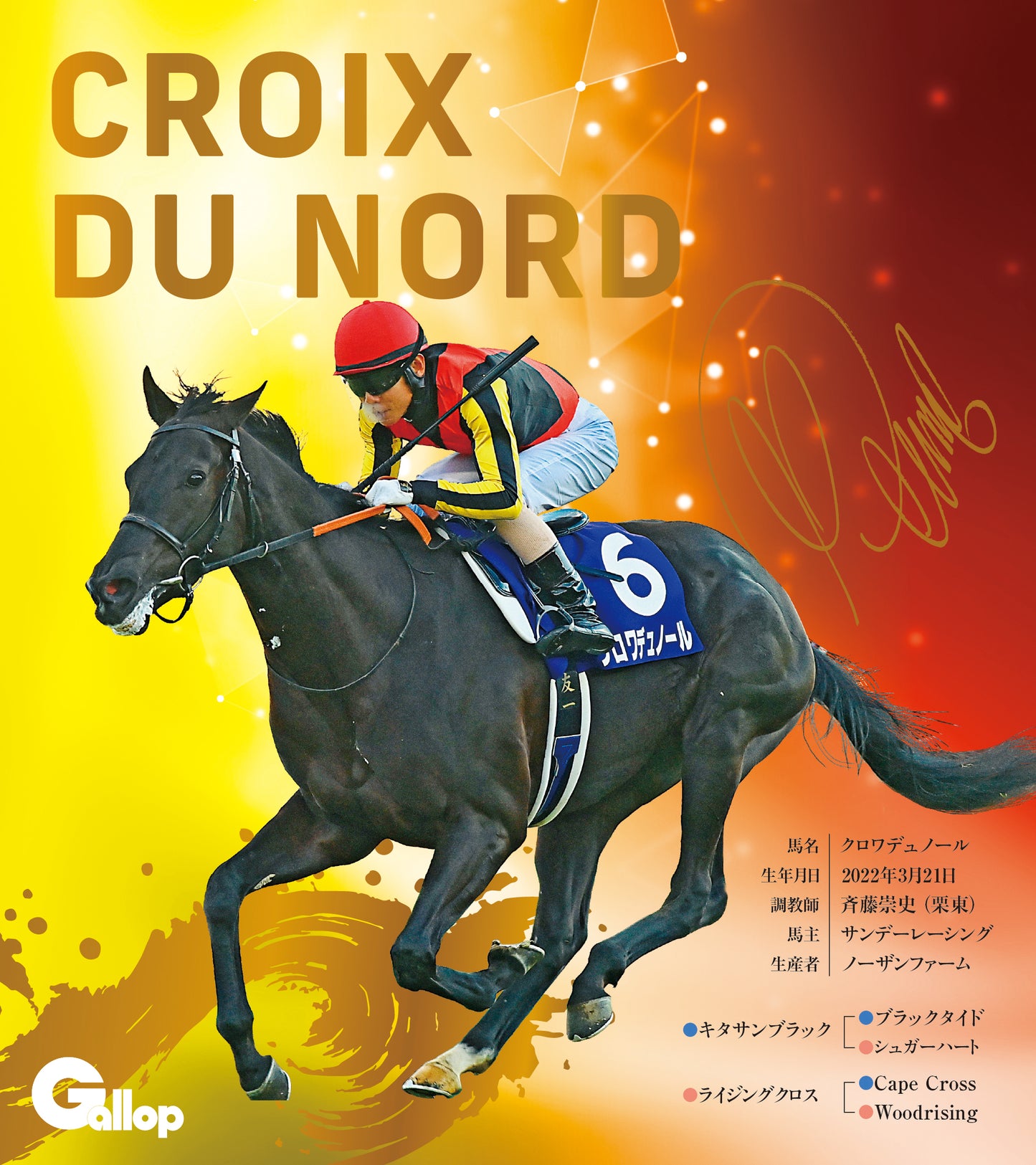 名馬全史色紙コレクション第五弾（12枚1セット）