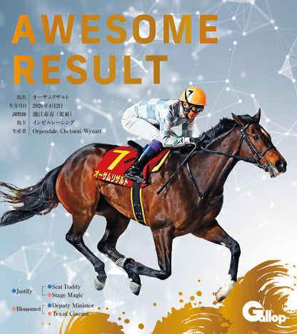 名馬全史色紙コレクション第五弾（12枚1セット）