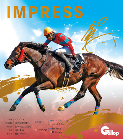 名馬全史色紙コレクション第五弾（12枚1セット）