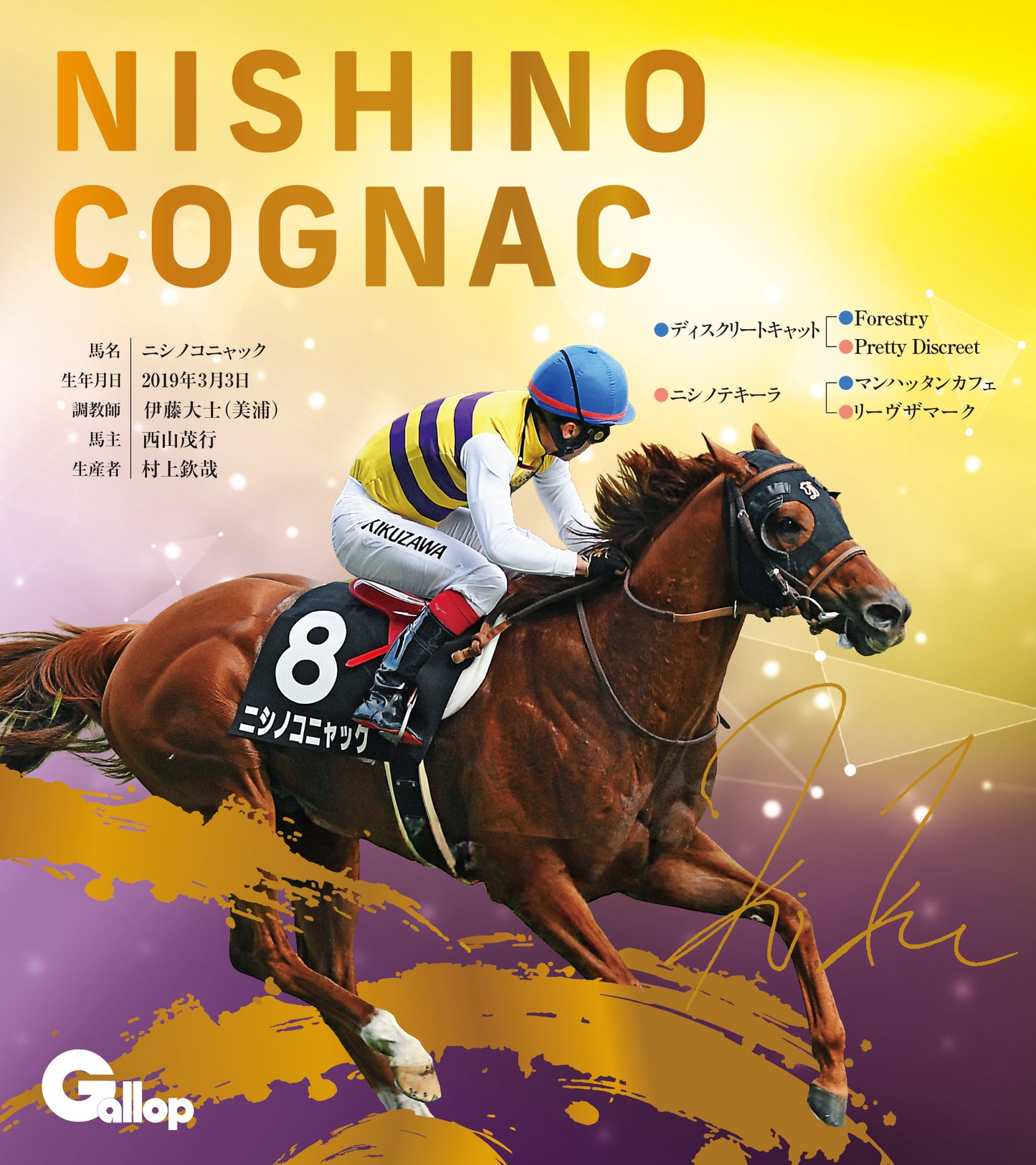 名馬全史色紙コレクション第五弾（12枚1セット）