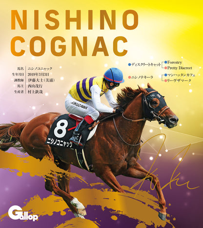 名馬全史色紙コレクション第五弾（12枚1セット）