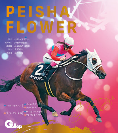 名馬全史色紙コレクション第五弾（12枚1セット）