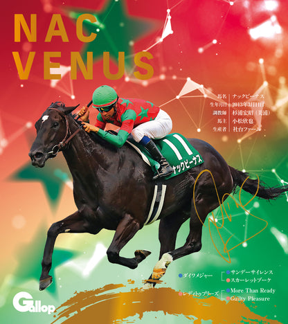 名馬全史色紙コレクション第五弾（12枚1セット）