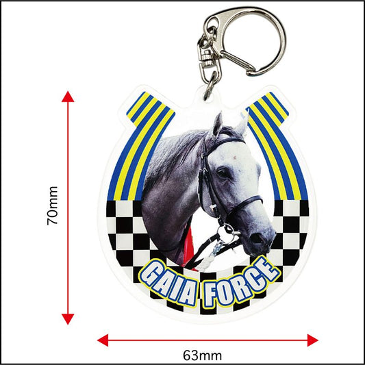 【名馬烈伝アクリルキーホルダー　ガイアフォース】