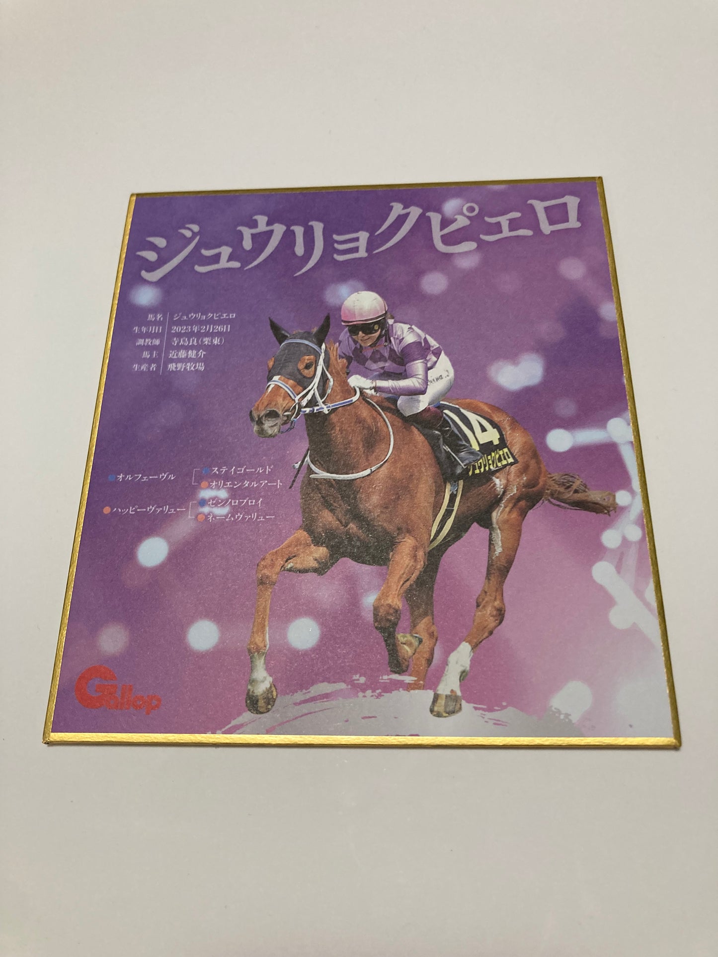 【2次予約商品】ジュウリョクピエロ号＆今村聖奈騎手　ミニ色紙＆アンブレラマーカーセット