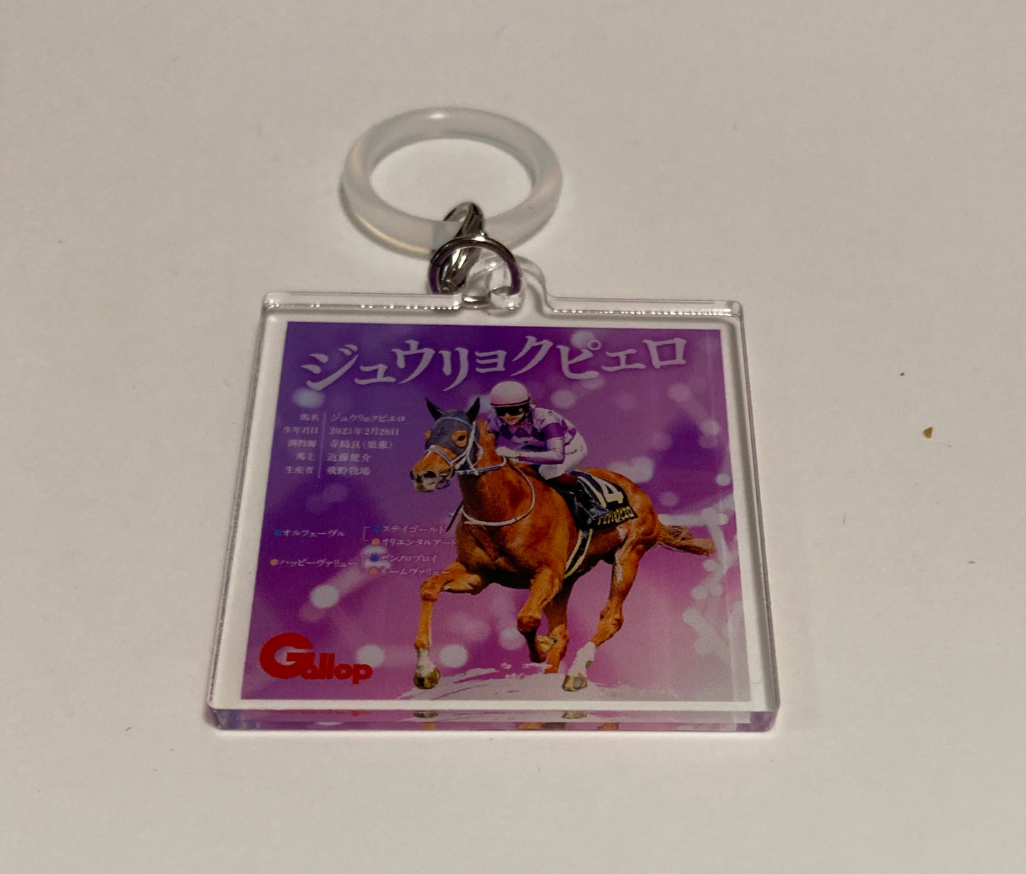 【2次予約商品】ジュウリョクピエロ号＆今村聖奈騎手　ミニ色紙＆アンブレラマーカーセット